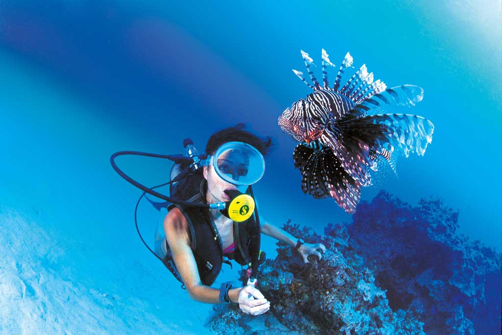Diving in the Philippines.